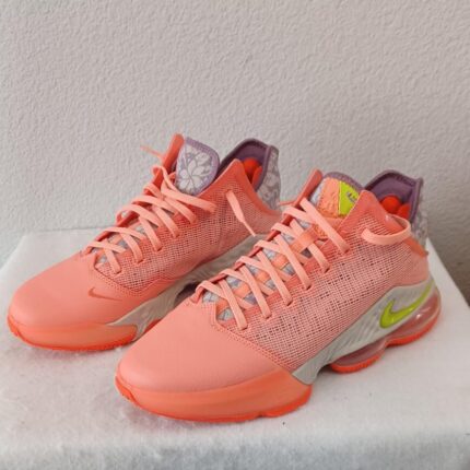 LeBron 19